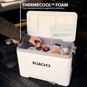 Igloo Insulated Cooler