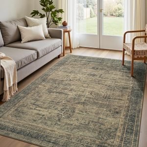 Washable Area Rugs
