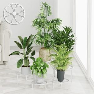 5 Pack Plant Stand