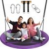 43-Inch Saucer Tree Swing