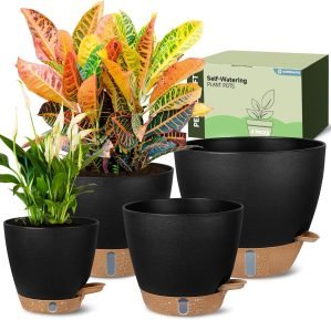 Self-Watering Pots for Indoor Plants 