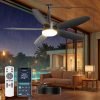 Outdoor Ceiling Fan with Lights
