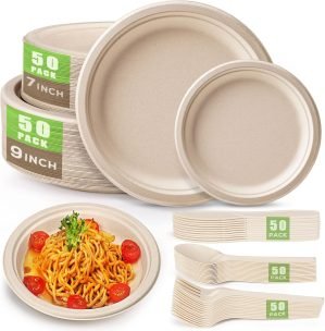250Pcs Disposable Paper Plates Set
