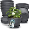 10 Whiskey Barrel Planters  10-Pack