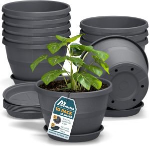 10 Whiskey Barrel Planters  10-Pack