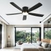 Ceiling Fan with Lights