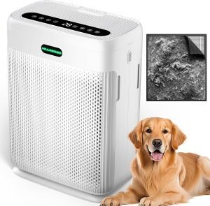 Air Purifiers for Home