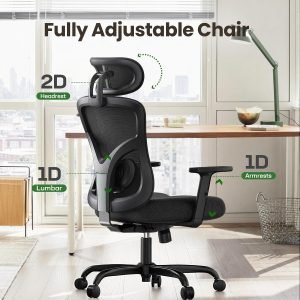 Ergonomic Office Chair