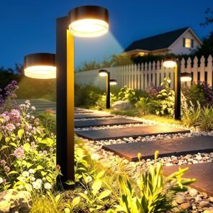 6 Pack Solar Pathway Lights