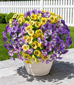 20PCS Artificial Fake Pansy Flowers