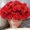 Artificial Geranium Flowers for Outdoors