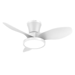 Ceiling Fan with LED Light