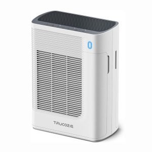 Air Purifier
