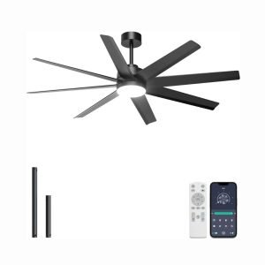 Ceiling Fan with Light