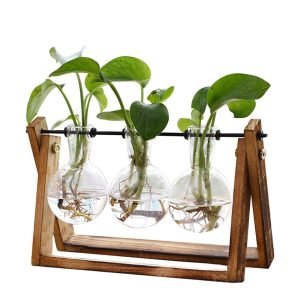 Plant Terrarium with Wooden Stand