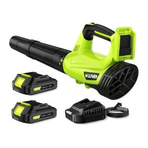 Electric Cordless Leaf Blower