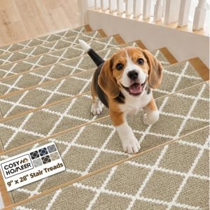 Carpet Stair Treads for Wooden Steps