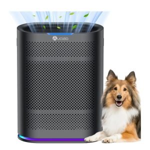 Air Purifiers for Home
