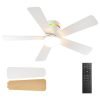 Ceiling Fans with Lights