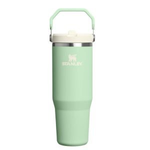 STANLEY IceFlow 2.0 Flip Straw Tumbler