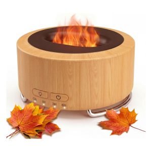 Essential Oil Diffuser for Home