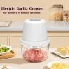 Electric Garlic Chopper