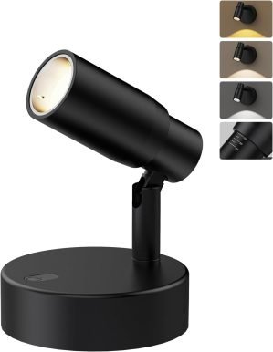 Rechargeable Spot Light Indoor