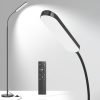 LED Floor Lamp