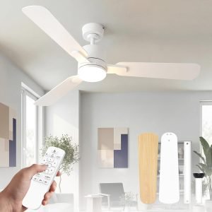 Ceiling Fan with Light