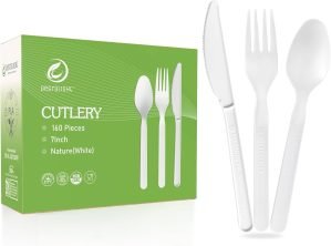 Disposable Cutlery Set