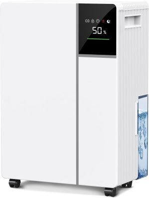 Dehumidifier for Basement