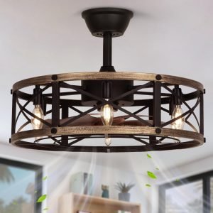 Caged Ceiling Fan with Light