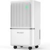 Dehumidifier for Basement 