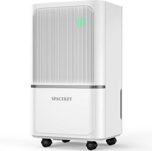 Dehumidifier for Basement 