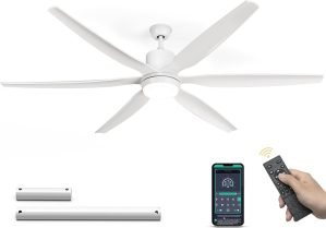 65-Inch Ceiling Fan with Lights