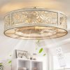 18″ Caged Ceiling Fan with Light