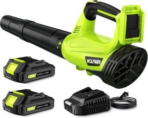 Leaf Blower with 2 Batteries & Charger 
