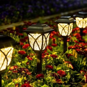 6 Pack LED Solar Garden Lights