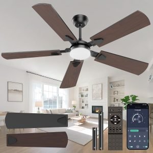 Ceiling Fans with Lights