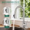 Kitchen Faucet with Pull Down Sprayer