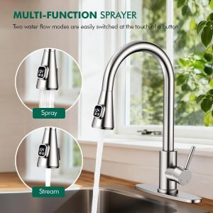 Kitchen Faucet with Pull Down Sprayer