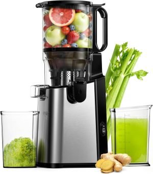 Cold Press Juicer 