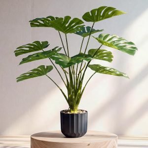 Fake Plants