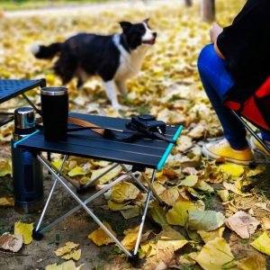 Portable Camping Table