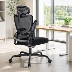 Ergonomic Office Chair