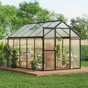 6×10 FT Greenhouse