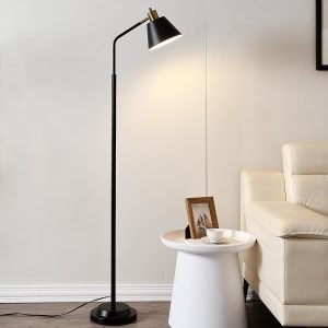 Upgraded Double-Base Black Floor Lamp