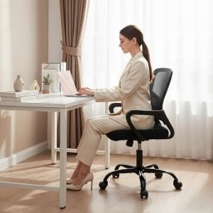 Home Office Chair