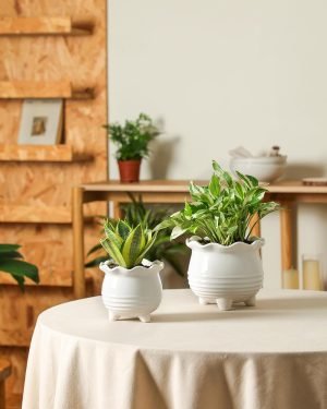 Ceramic Planter Set with Drainage Hole
