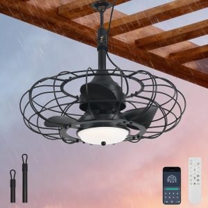 Outdoor Ceiling Fan with Light